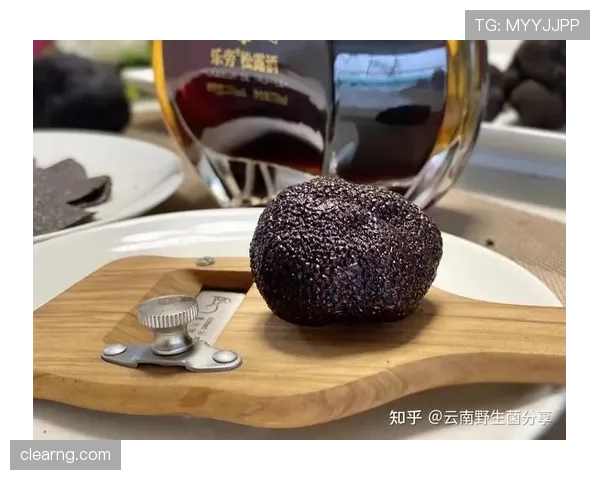 孔帕尼家里冰箱塞满黑松露，训练完直接啃？